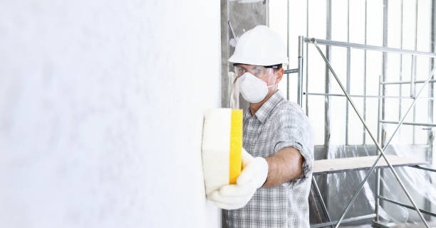 Best Emergency Mold Remediation  in West Hollywood, CA