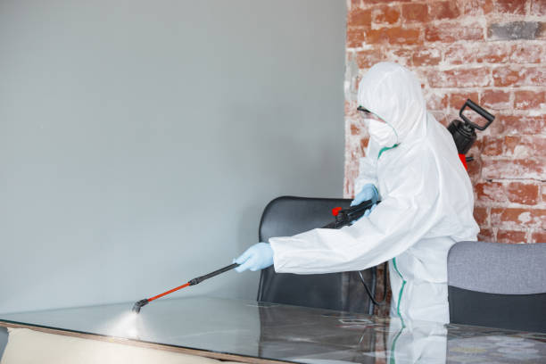 Best Crawl Space Mold Remediation  in West Hollywood, CA